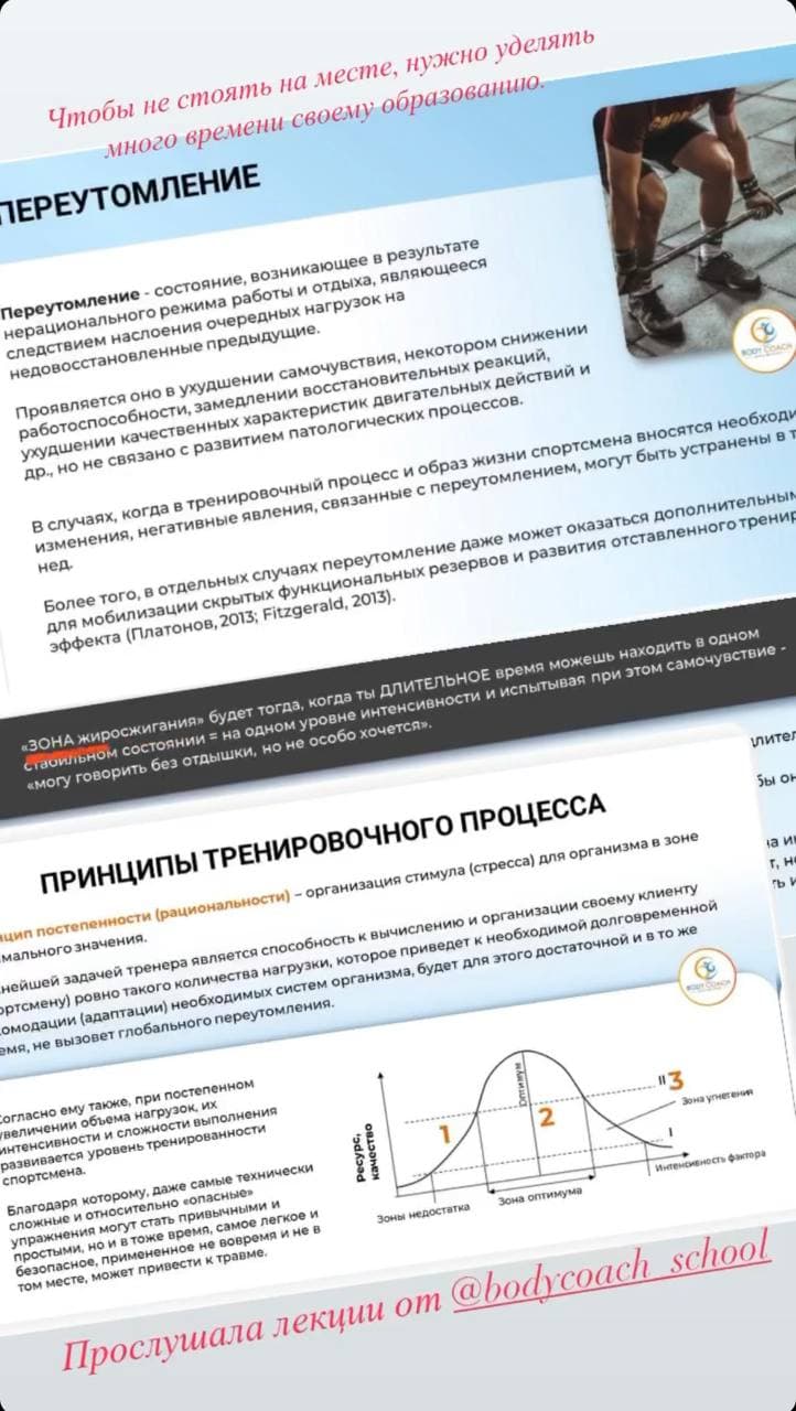 Отзыв участника 13