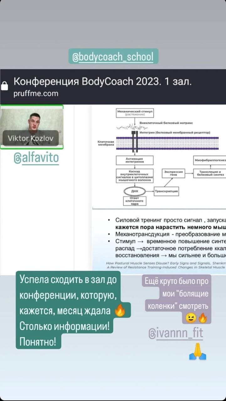 Отзыв участника 22